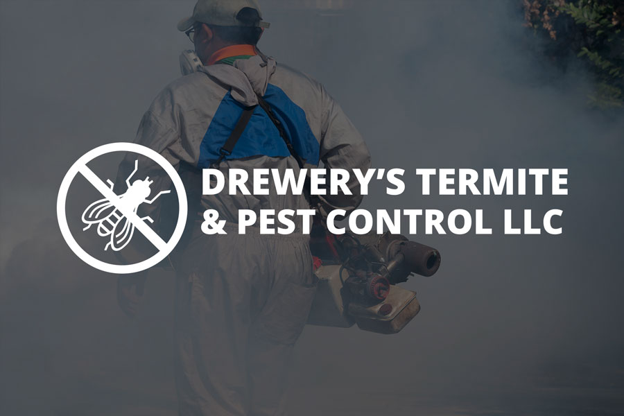 Pest Control Companies Oxford, MS | Call Us for a Free Quote