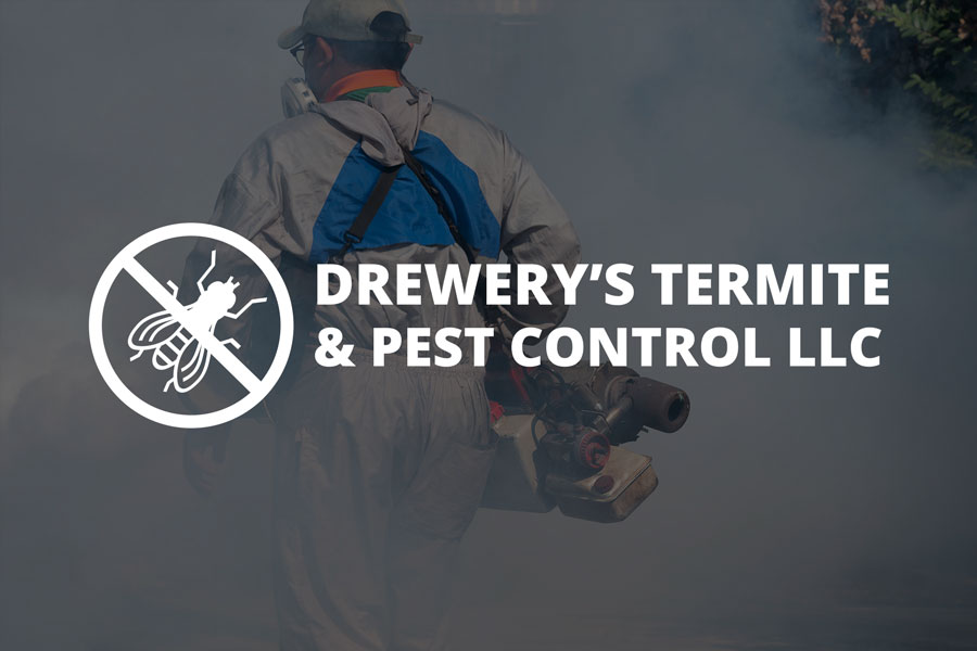 Pest Control Companies Oxford, MS Call Us for a Free Quote